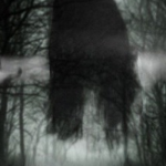 Mơ Bị Ma Nhập Rồi Đuổi Là Điềm Gì - Lý Giải Chi Tiết