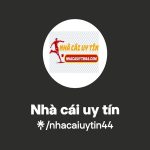 Nhacaiuytin44 và tầm nhìn đổi mới trong đánh giá nhà cái
